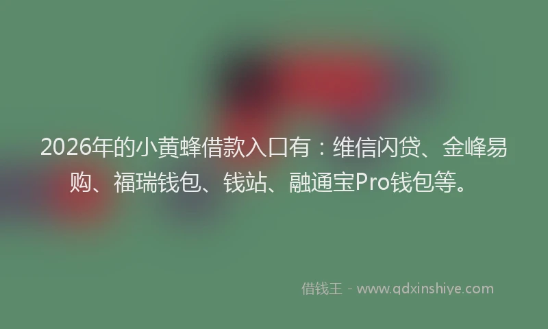 2026年的小黄蜂借款入口有：维信闪贷、金峰易购、福瑞钱包、钱站、融通宝Pro钱包等。