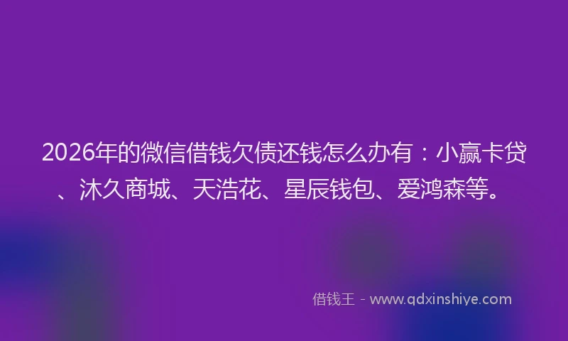 2026年的微信借钱欠债还钱怎么办有：小赢卡贷、沐久商城、天浩花、星辰钱包、爱鸿森等。