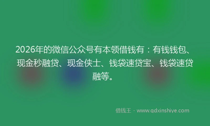 2026年的微信公众号有本领借钱有：有钱钱包、现金秒融贷、现金侠士、钱袋速贷宝、钱袋速贷融等。