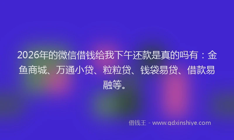 2026年的微信借钱给我下午还款是真的吗有：金鱼商城、万通小贷、粒粒贷、钱袋易贷、借款易融等。