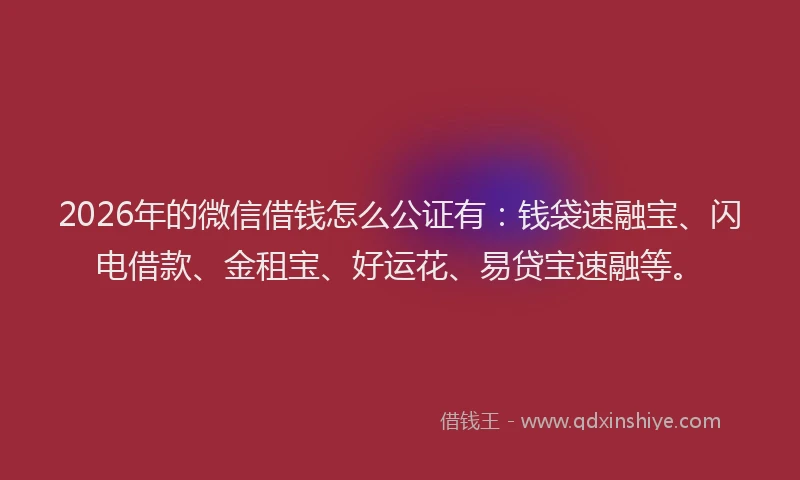 2026年的微信借钱怎么公证有：钱袋速融宝、闪电借款、金租宝、好运花、易贷宝速融等。