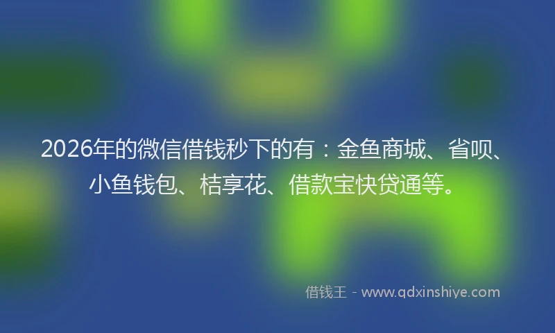 2026年的微信借钱秒下的有：金鱼商城、省呗、小鱼钱包、桔享花、借款宝快贷通等。