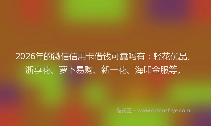 2026年的微信信用卡借钱可靠吗有：轻花优品、浙享花、萝卜易购、新一花、海印金服等。