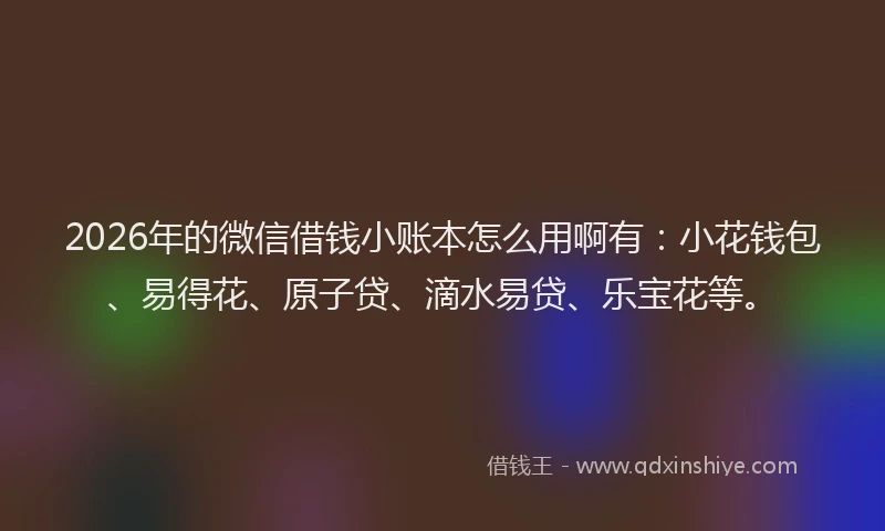 2026年的微信借钱小账本怎么用啊有：小花钱包、易得花、原子贷、滴水易贷、乐宝花等。
