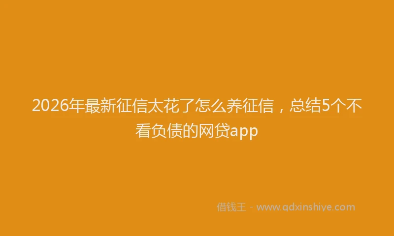 2026年最新征信太花了怎么养征信，总结5个不看负债的网贷app