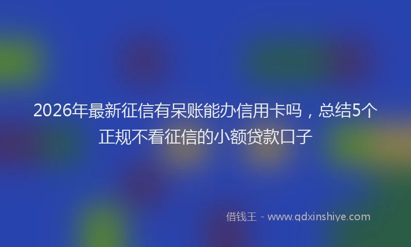 2026年最新征信有呆账能办信用卡吗，总结5个正规不看征信的小额贷款口子