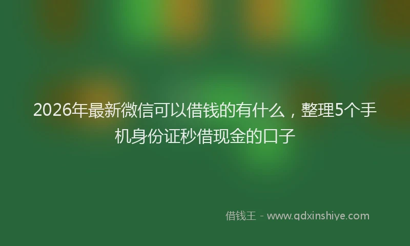 2026年最新微信可以借钱的有什么，整理5个手机身份证秒借现金的口子