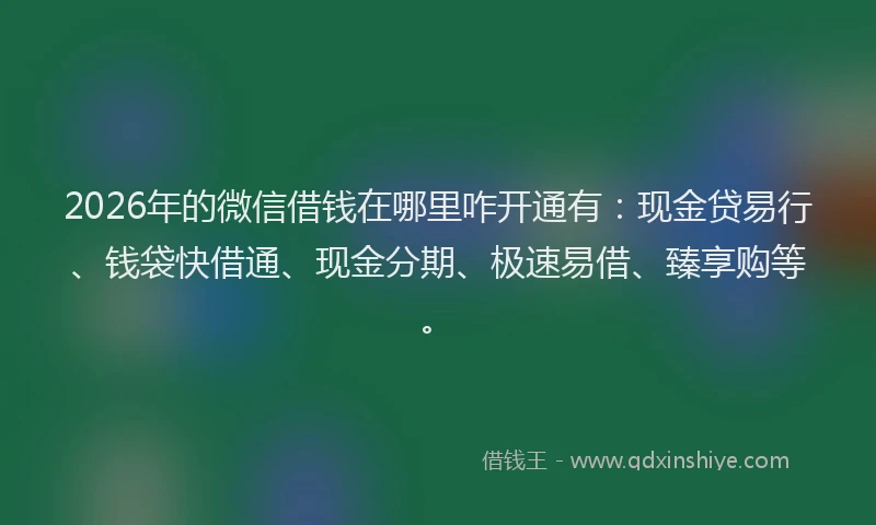 2026年的微信借钱在哪里咋开通有：现金贷易行、钱袋快借通、现金分期、极速易借、臻享购等。