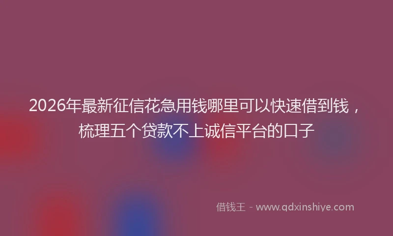 2026年最新征信花急用钱哪里可以快速借到钱，梳理五个贷款不上诚信平台的口子