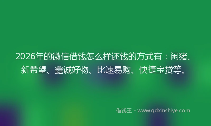 2026年的微信借钱怎么样还钱的方式有：闲猪、新希望、鑫诚好物、比速易购、快捷宝贷等。