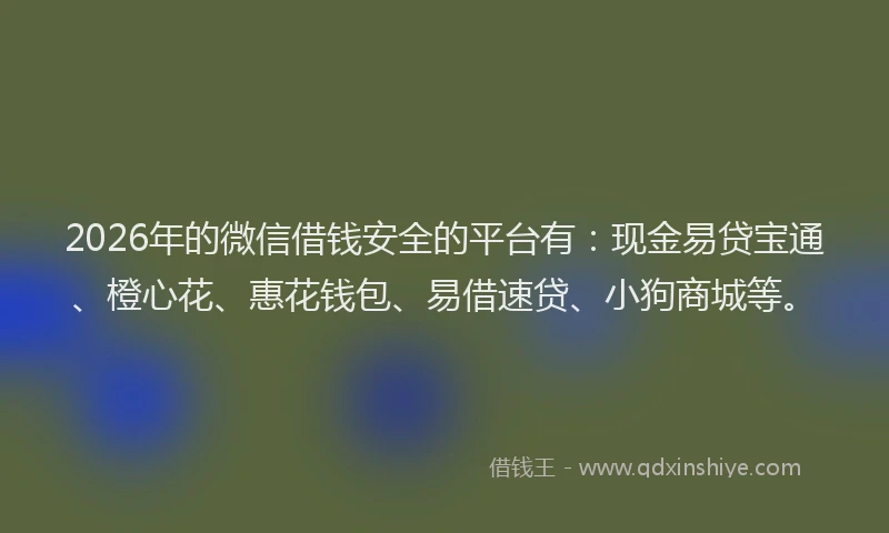 2026年的微信借钱安全的平台有：现金易贷宝通、橙心花、惠花钱包、易借速贷、小狗商城等。