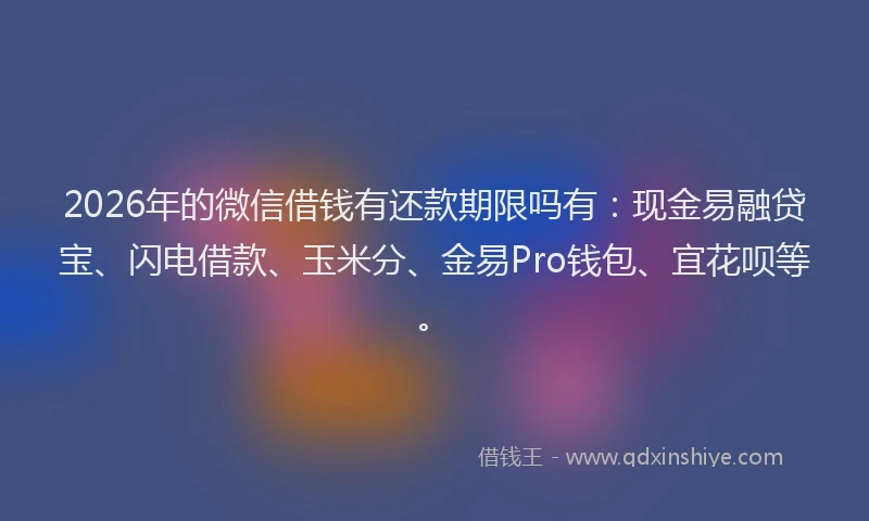 2026年的微信借钱有还款期限吗有：现金易融贷宝、闪电借款、玉米分、金易Pro钱包、宜花呗等。