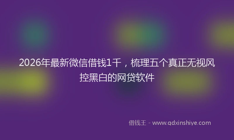 2026年最新微信借钱1千，梳理五个真正无视风控黑白的网贷软件