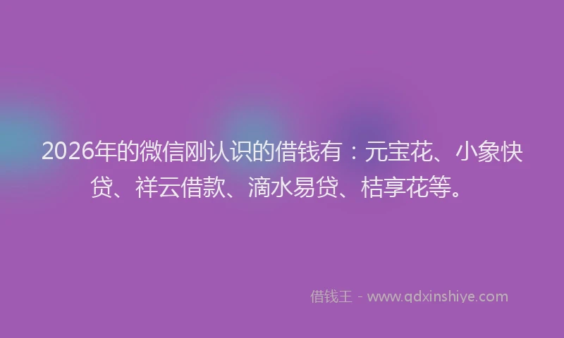 2026年的微信刚认识的借钱有：元宝花、小象快贷、祥云借款、滴水易贷、桔享花等。