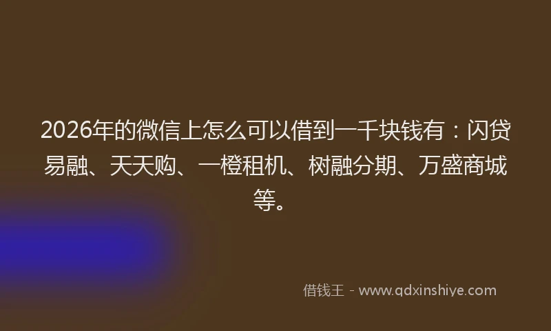 2026年的微信上怎么可以借到一千块钱有：闪贷易融、天天购、一橙租机、树融分期、万盛商城等。