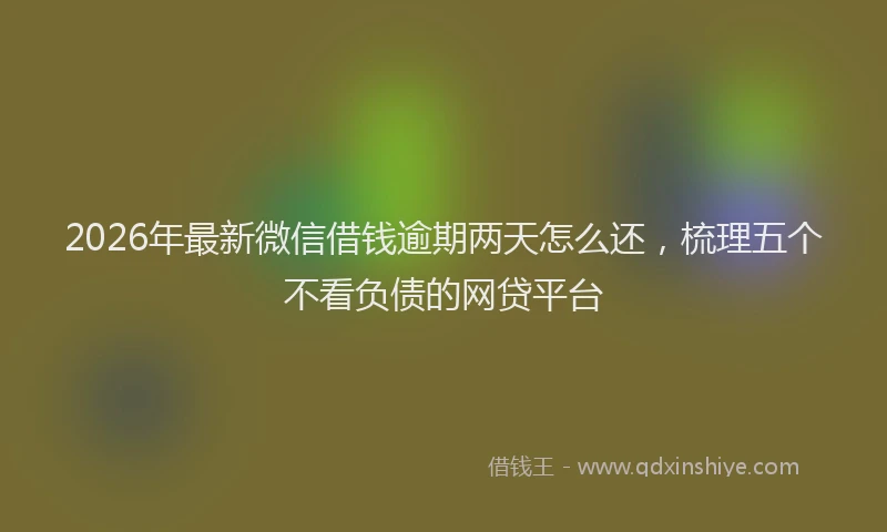 2026年最新微信借钱逾期两天怎么还，梳理五个不看负债的网贷平台