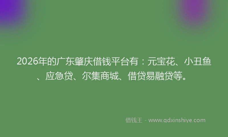 2026年的广东肇庆借钱平台有：元宝花、小丑鱼、应急贷、尔集商城、借贷易融贷等。
