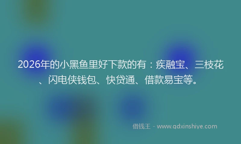 2026年的小黑鱼里好下款的有:疾融宝、三枝花、闪电侠钱包、快贷通、借款易宝等。