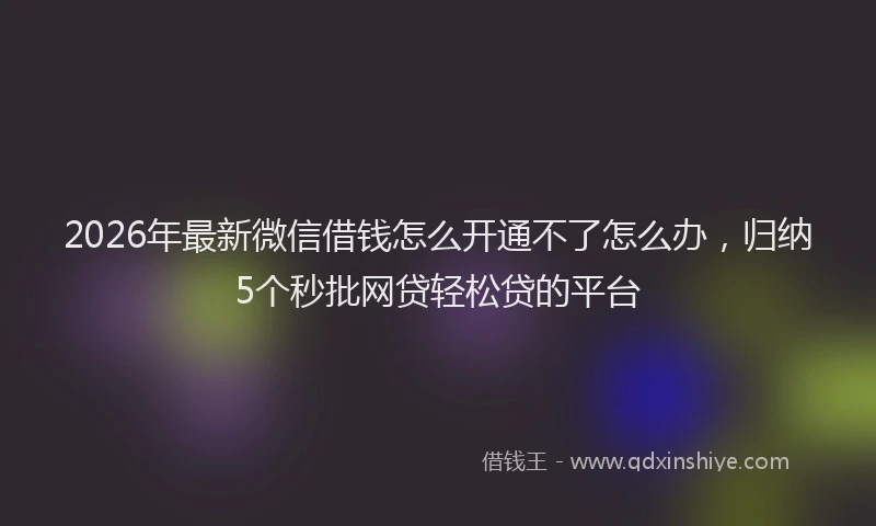 2026年最新微信借钱怎么开通不了怎么办，归纳5个秒批网贷轻松贷的平台