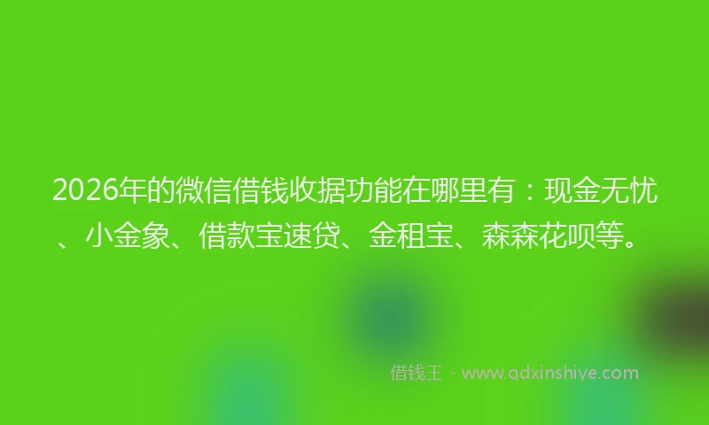 2026年的微信借钱收据功能在哪里有：现金无忧、小金象、借款宝速贷、金租宝、森森花呗等。
