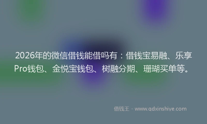 2026年的微信借钱能借吗有：借钱宝易融、乐享Pro钱包、金悦宝钱包、树融分期、珊瑚买单等。