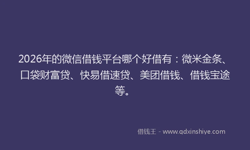 2026年的微信借钱平台哪个好借有：微米金条、口袋财富贷、快易借速贷、美团借钱、借钱宝途等。