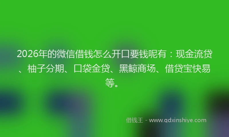 2026年的微信借钱怎么开口要钱呢有：现金流贷、柚子分期、口袋金贷、黑鲸商场、借贷宝快易等。
