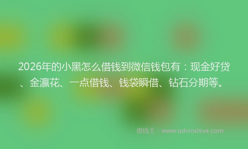 2026年的小黑怎么借钱到微信钱包有：现金好贷、金瀛花、一点借钱、钱袋瞬借、钻石分期等。
