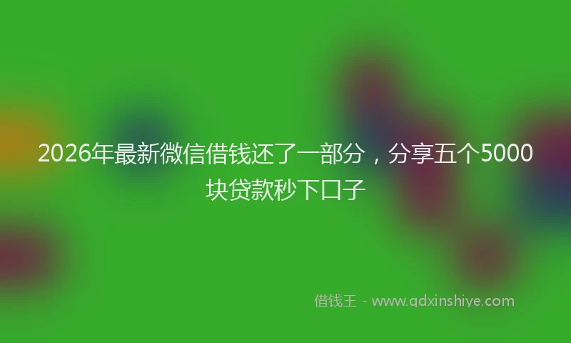 2026年最新微信借钱还了一部分，分享五个5000块贷款秒下口子