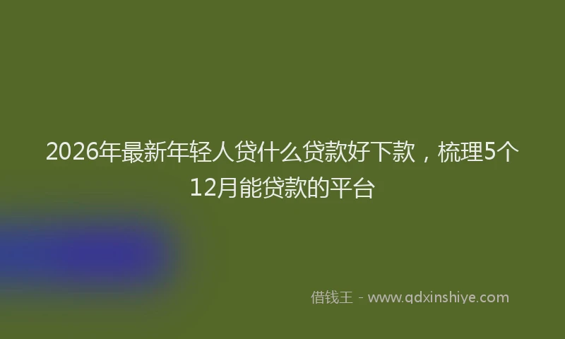 2026年最新年轻人贷什么贷款好下款，梳理5个12月能贷款的平台