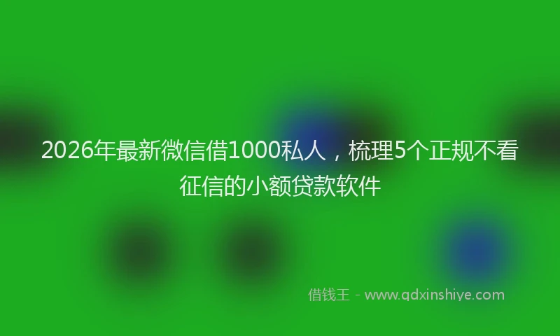 2026年最新微信借1000私人，梳理5个正规不看征信的小额贷款软件