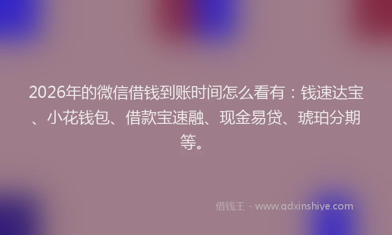 2026年的微信借钱到账时间怎么看有：钱速达宝、小花钱包、借款宝速融、现金易贷、琥珀分期等。