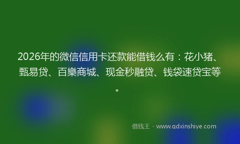 2026年的微信信用卡还款能借钱么有：花小猪、甄易贷、百樂商城、现金秒融贷、钱袋速贷宝等。