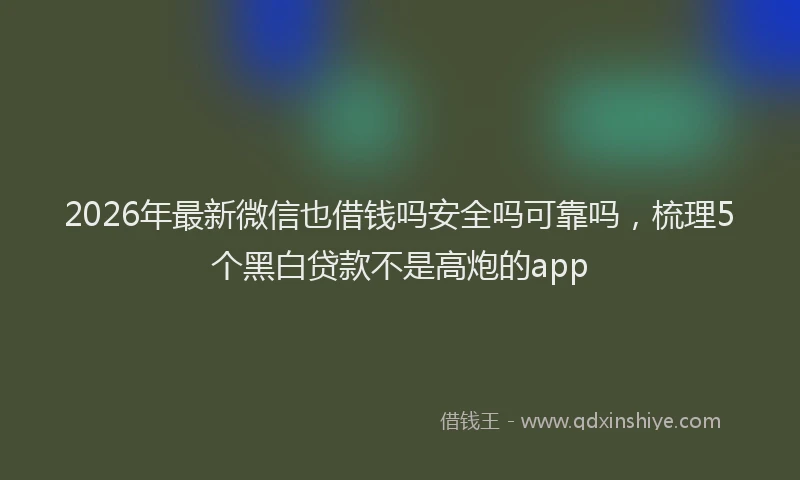2026年最新微信也借钱吗安全吗可靠吗，梳理5个黑白贷款不是高炮的app