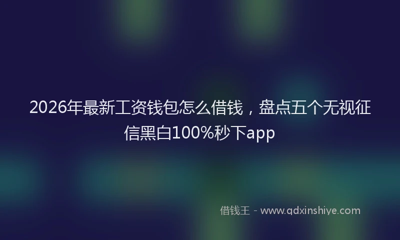 2026年最新工资钱包怎么借钱，盘点五个无视征信黑白100%秒下app