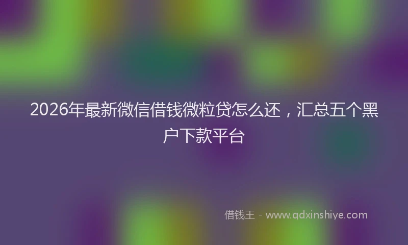 2026年最新微信借钱微粒贷怎么还，汇总五个黑户下款平台