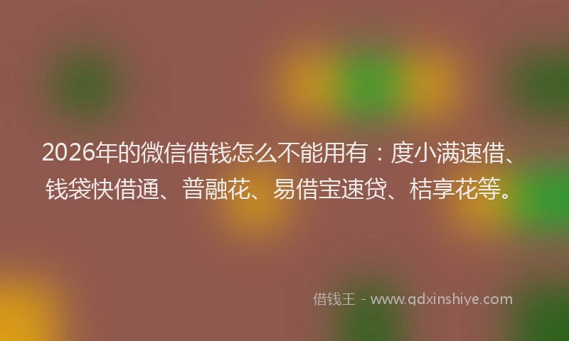 2026年的微信借钱怎么不能用有：度小满速借、钱袋快借通、普融花、易借宝速贷、桔享花等。