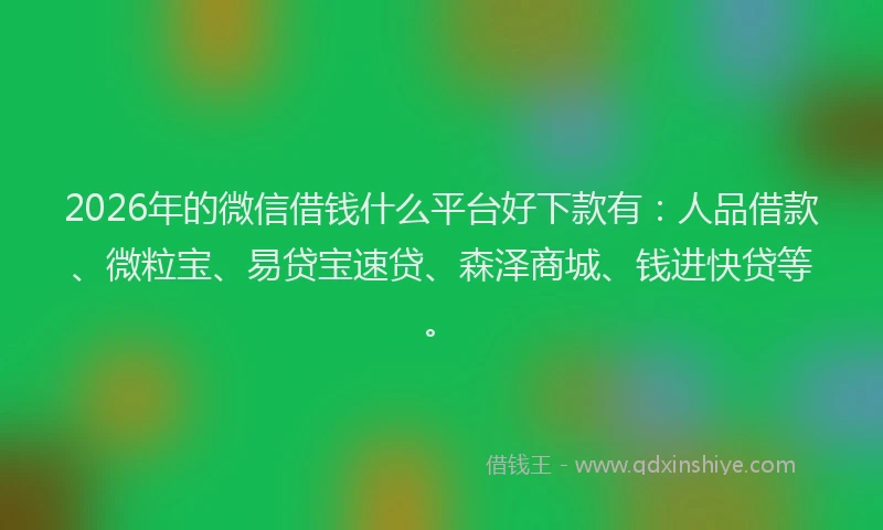 2026年的微信借钱什么平台好下款有：人品借款、微粒宝、易贷宝速贷、森泽商城、钱进快贷等。