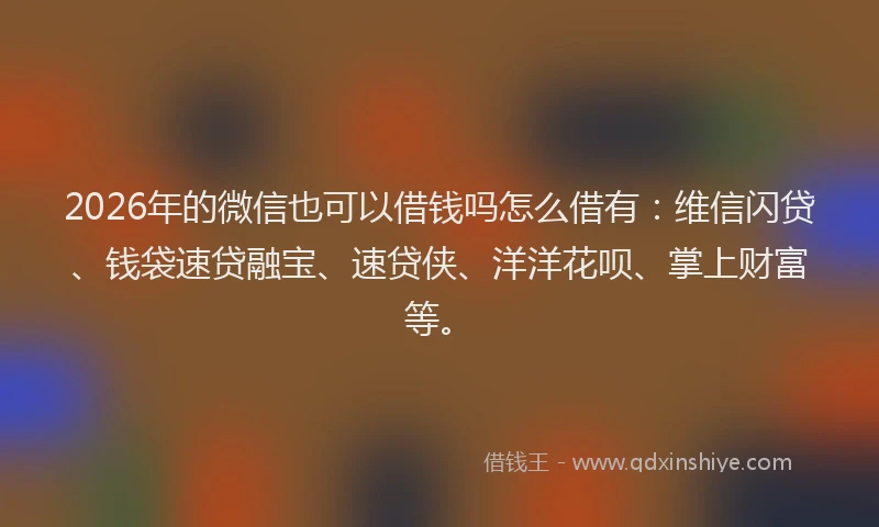 2026年的微信也可以借钱吗怎么借有：维信闪贷、钱袋速贷融宝、速贷侠、洋洋花呗、掌上财富等。