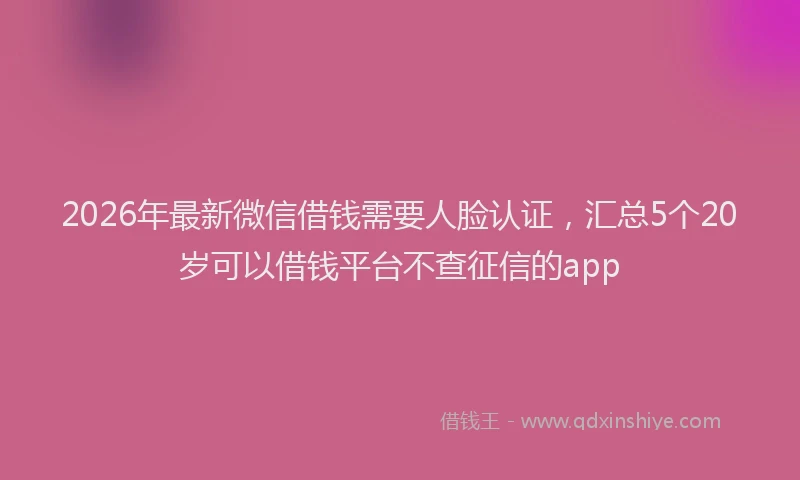 2026年最新微信借钱需要人脸认证，汇总5个20岁可以借钱平台不查征信的app