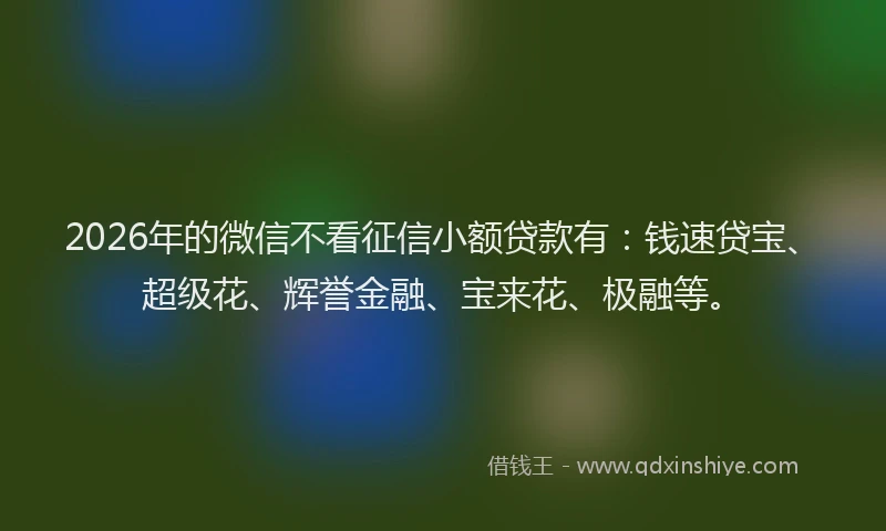 2026年的微信不看征信小额贷款有：钱速贷宝、超级花、辉誉金融、宝来花、极融等。