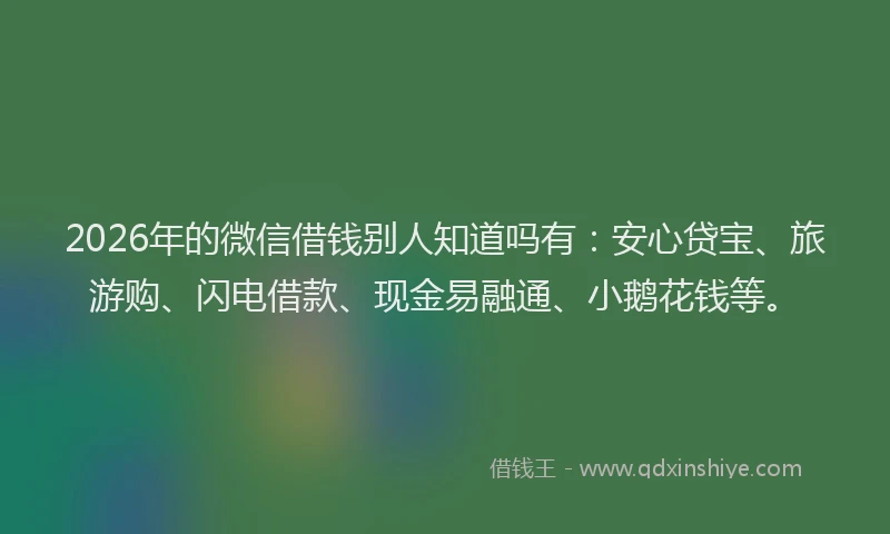 2026年的微信借钱别人知道吗有：安心贷宝、旅游购、闪电借款、现金易融通、小鹅花钱等。