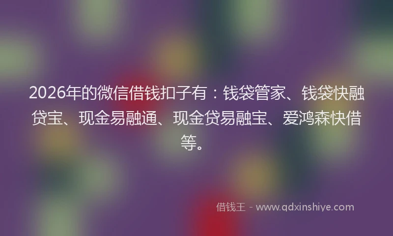 2026年的微信借钱扣子有：钱袋管家、钱袋快融贷宝、现金易融通、现金贷易融宝、爱鸿森快借等。
