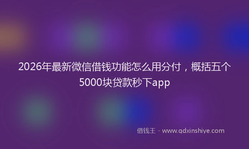 2026年最新微信借钱功能怎么用分付，概括五个5000块贷款秒下app