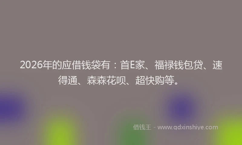 2026年的应借钱袋有：首E家、福禄钱包贷、速得通、森森花呗、超快购等。