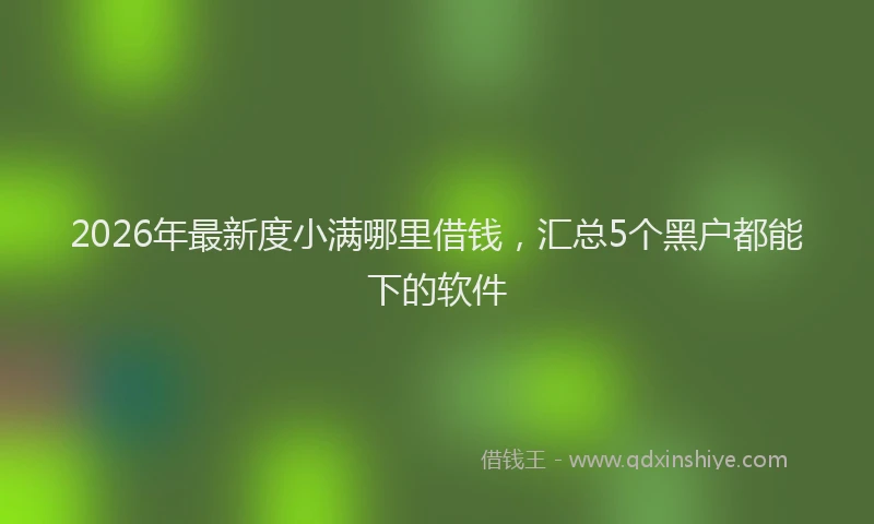 2026年最新度小满哪里借钱，汇总5个黑户都能下的软件