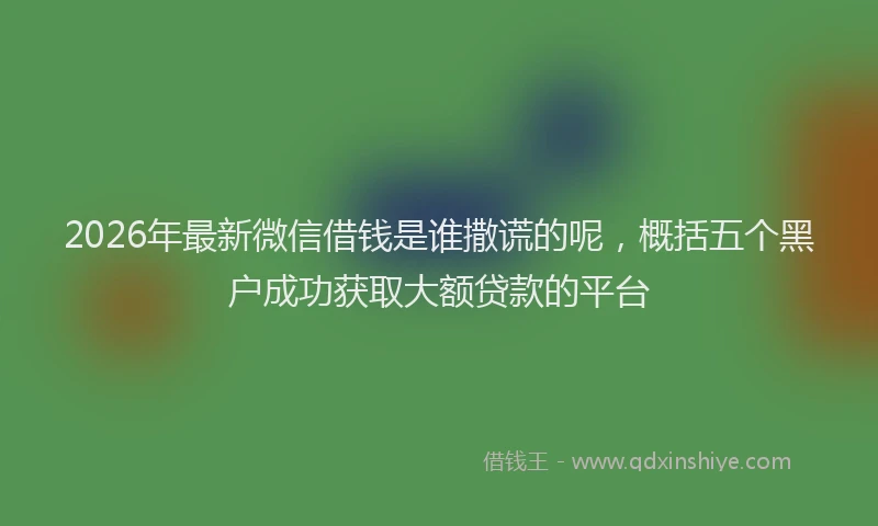 2026年最新微信借钱是谁撒谎的呢，概括五个黑户成功获取大额贷款的平台
