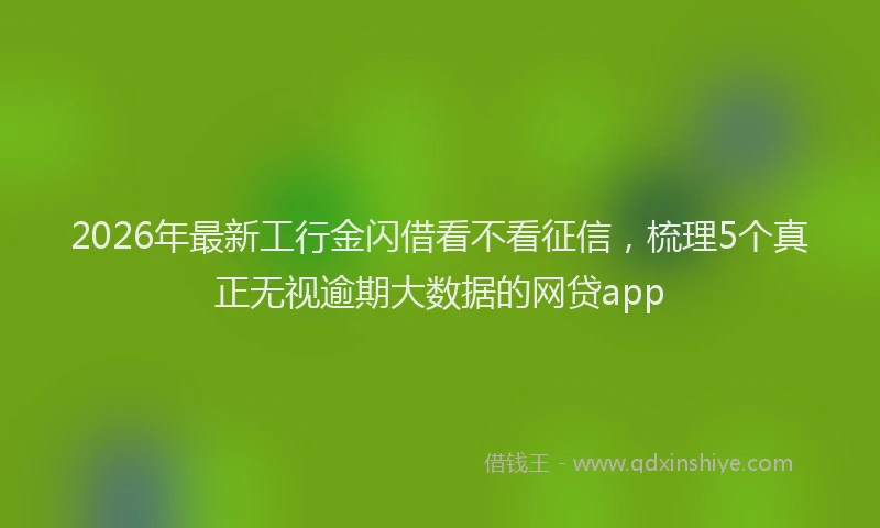 2026年最新工行金闪借看不看征信，梳理5个真正无视逾期大数据的网贷app