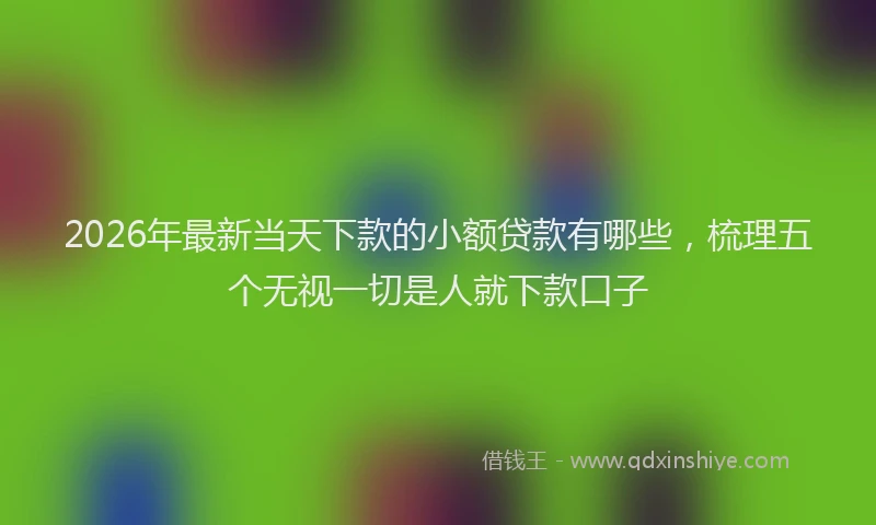 2026年最新当天下款的小额贷款有哪些，梳理五个无视一切是人就下款口子