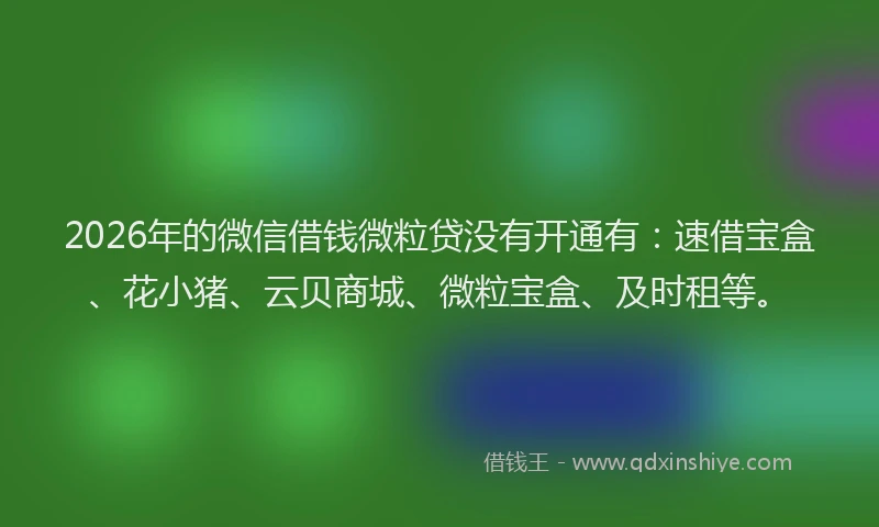 2026年的微信借钱微粒贷没有开通有：速借宝盒、花小猪、云贝商城、微粒宝盒、及时租等。